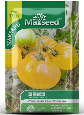 【MARSEED火星家】老品种农家传家宝 菠萝大牛排番茄种子籽孑苗