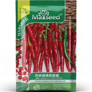 浓味醇厚吉米纳德罗甜椒长而薄皮蔬菜产量丰富菜园种子种苗A211