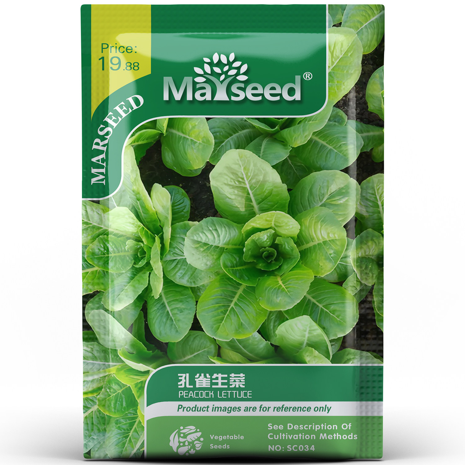好看鲜美孔雀生菜脆嫩爽口植株优美似雀尾羽阳台菜园点缀种孑子籽