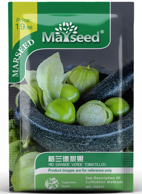 【MARSEED火星家】Rio Grande浆果水果格兰德带壳番茄种子籽