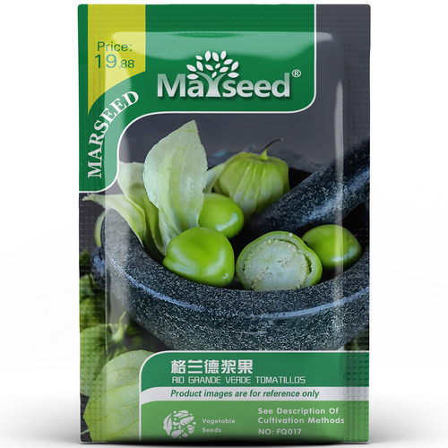 产量高味好的绿色浆果番茄种子