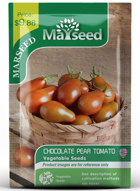 【MARSEED火星家】传家宝巧克力梨小樱桃番茄种子苗阳台盆栽