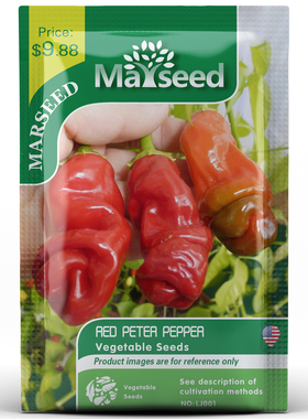 【MARSEED火星家】进口Red Peter JJ辣椒 红彼得辣椒种子籽孑苗