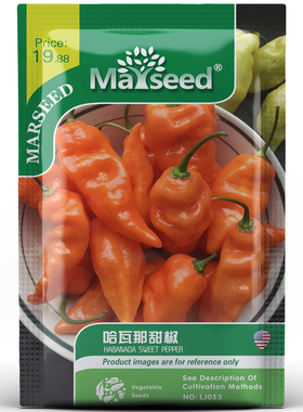 【新品推荐】进口哈瓦那甜椒哈巴纳达盆栽花香甜味蔬菜辣椒种子籽