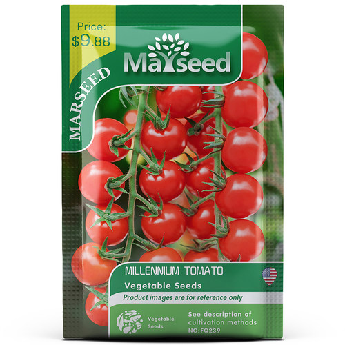 英国超级甜百万好吃滴番茄种子