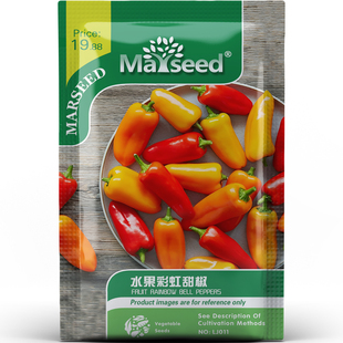 阳台调色盘水果彩虹甜椒脆嫩多汁果肉细腻好蔬菜花盆种子种苗A133