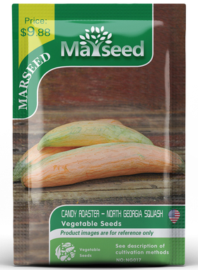【掌柜推荐】美国传家宝Georgia Candy 北乔治亚糖果南瓜种子籽