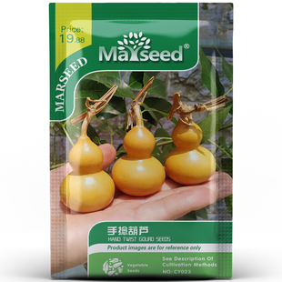 【网红品种】迷你手捻小葫芦文玩种子孑籽阳台盆栽庭院爬藤植物