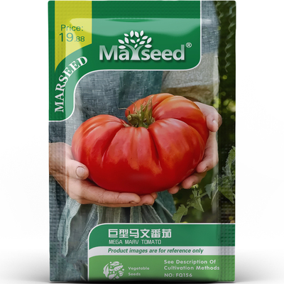 稀有大果巨型马文番茄盆栽地栽蔬菜果肉厚实浓郁多汁种子种苗A077