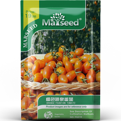 高产好吃橙色喷泉番茄清甜多汁颜值高丰收小果园蔬菜种子种苗A010