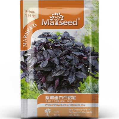 稀有叶片紫黑蛋白石罗勒提香增色高颜值香草家庭园艺种子种苗A167