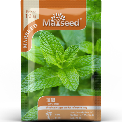 清香回甘薄荷香草翠绿叶片西餐装饰净化空气阳台盆栽种子种苗A147