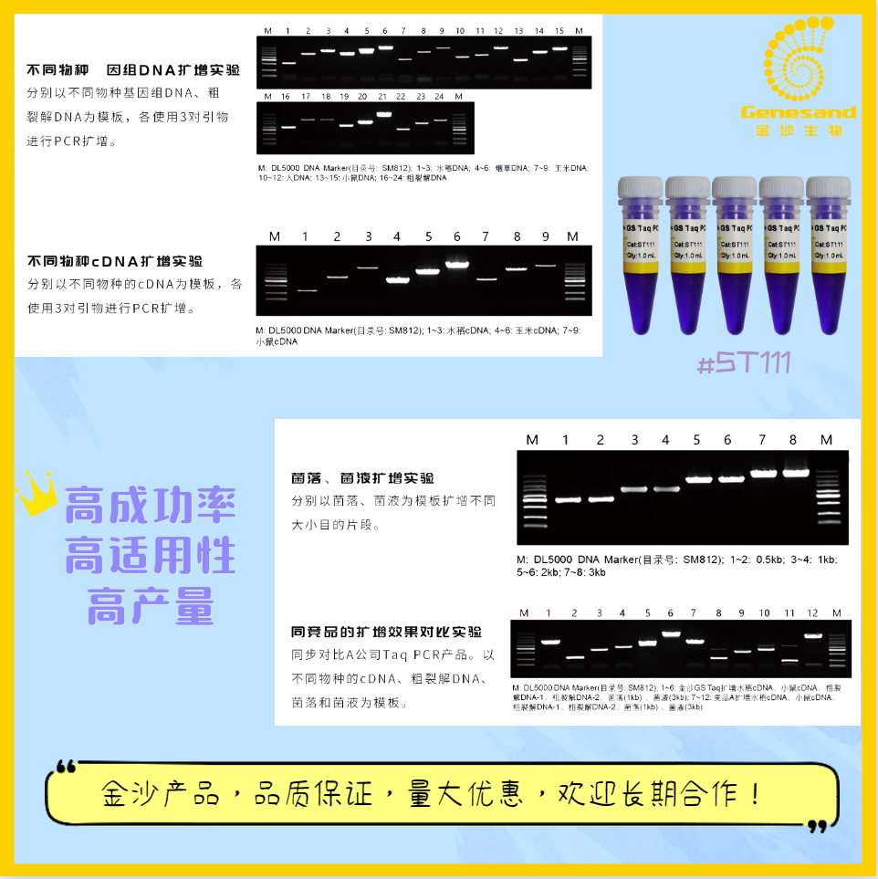 5mL Taq DNA聚合酶 试剂