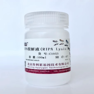 普利莱 RIPA裂解液 RIPA Lysis Buffer C1053