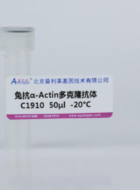 普利莱 兔抗α-Actin 多克隆抗体 C1910-50/C1910-100