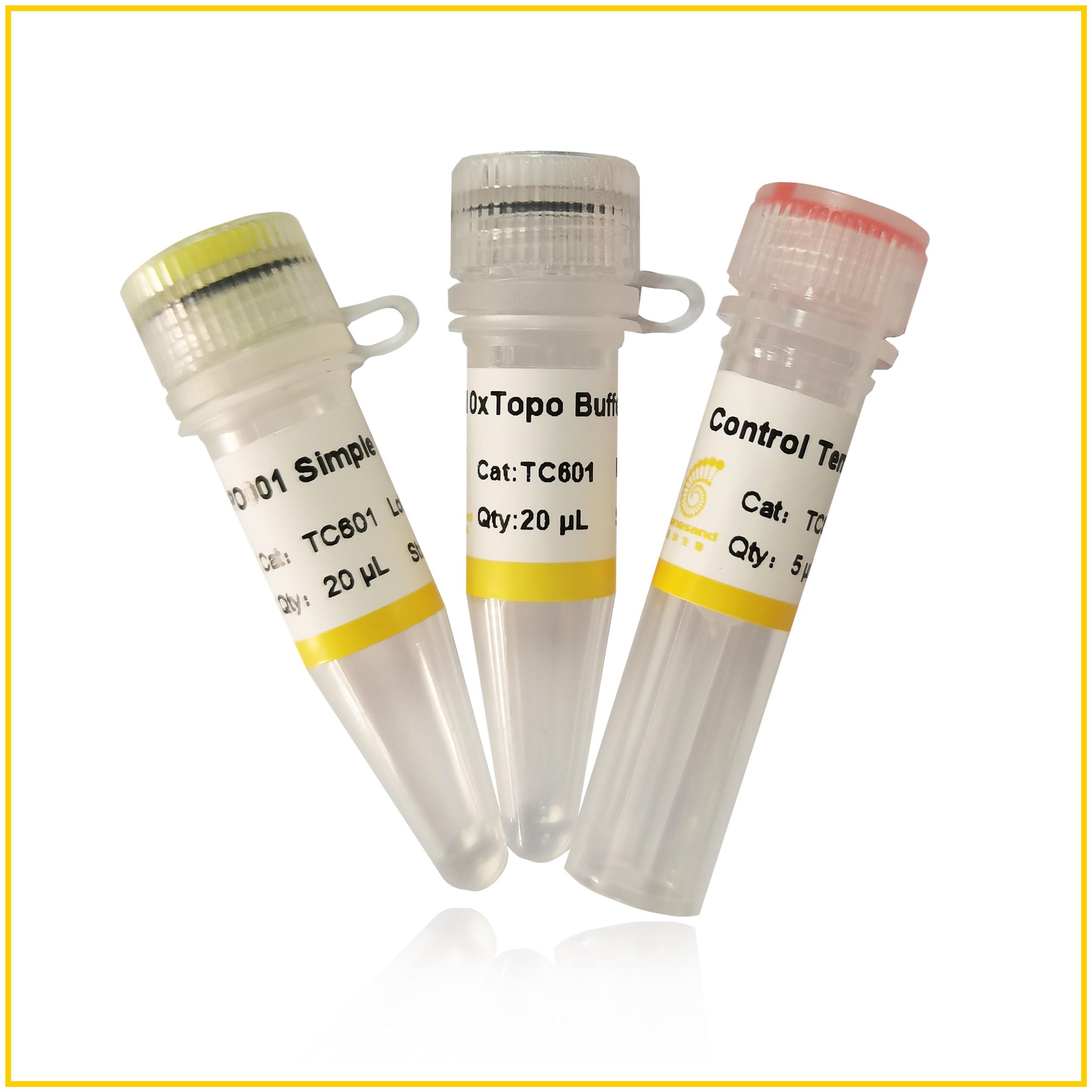 20次 T载 拓扑克隆pTOPO001 Simple Cloning Kit (TC601)