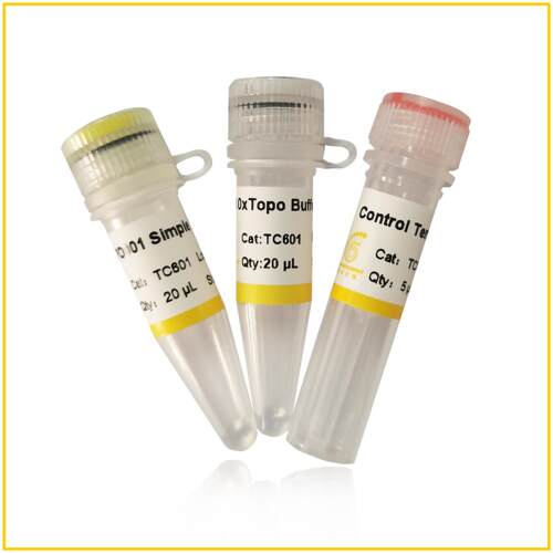 20次 T载 拓扑克隆pTOPO001 Simple Cloning Kit (TC601)