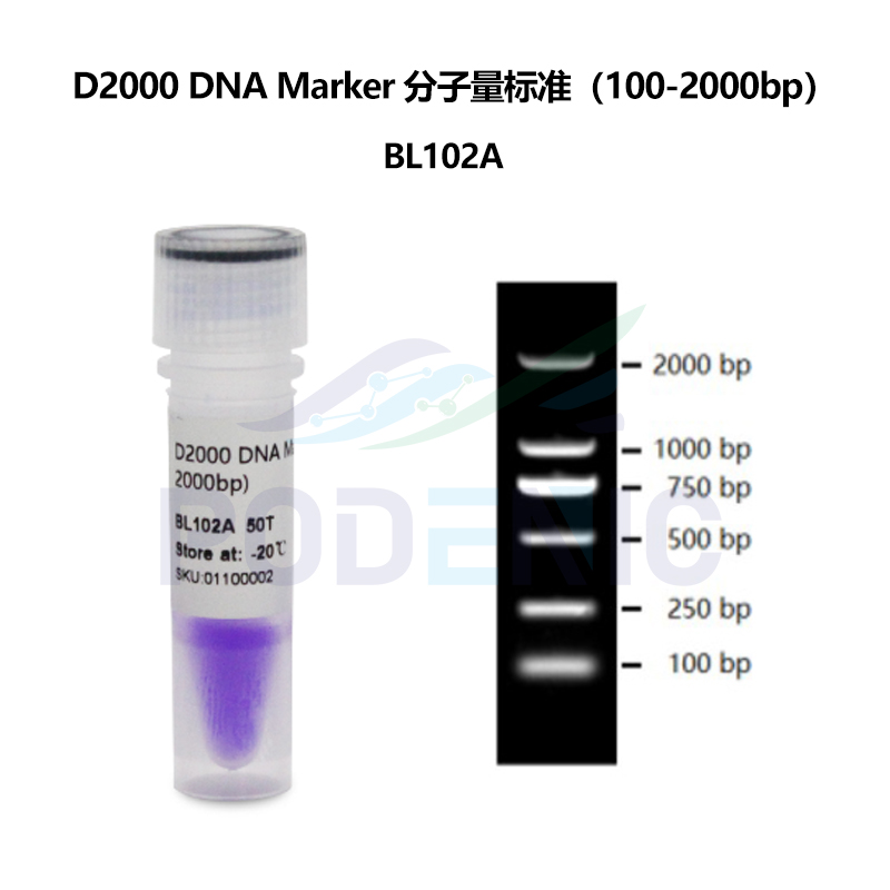 琼脂糖凝胶电泳DNA Marker100-1500bp/100-2000bp/100-5000bp含票