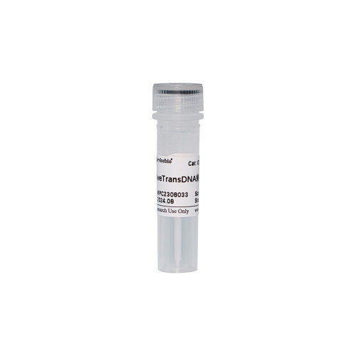 Servicebio塞维尔 SweTransDNA转染试剂0.5M LDNA、mRNA、RNAi