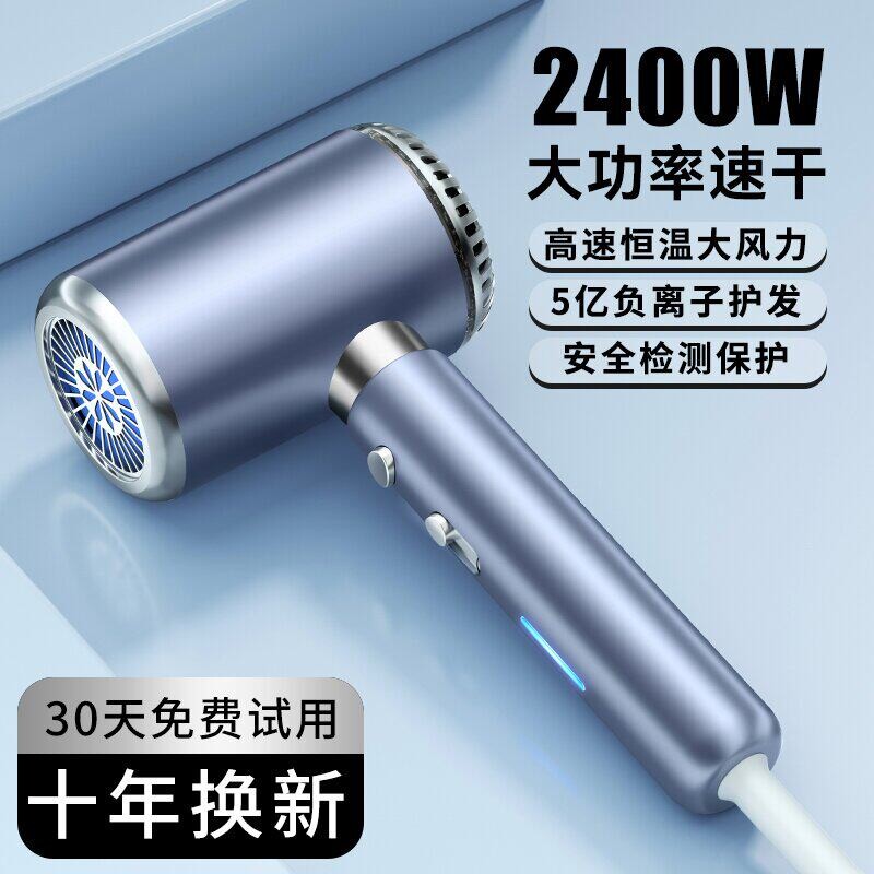 德国电吹风机家用发廊理发店专用率大风力速干负离子护发静音大功