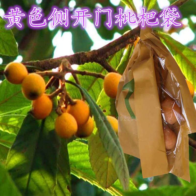 透明开窗侧开枇杷套袋专用袋金丸芦橘果袋漭果桂七杧果金煌芒果袋