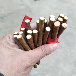 桃木枝条 桃树枝发簪 桃木棒子原木桃木棍随身桃树枝雕刻料桃木段