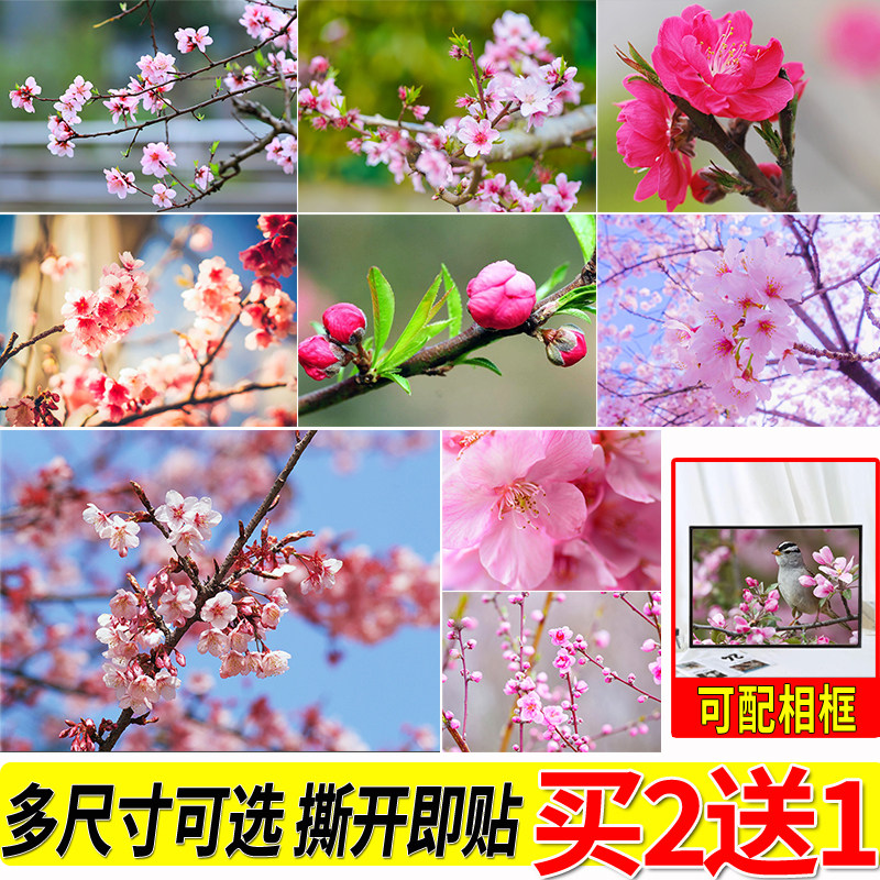 粉色桃花海报田园风光周边房间大尺寸自粘壁纸贴画寝室墙贴挂画