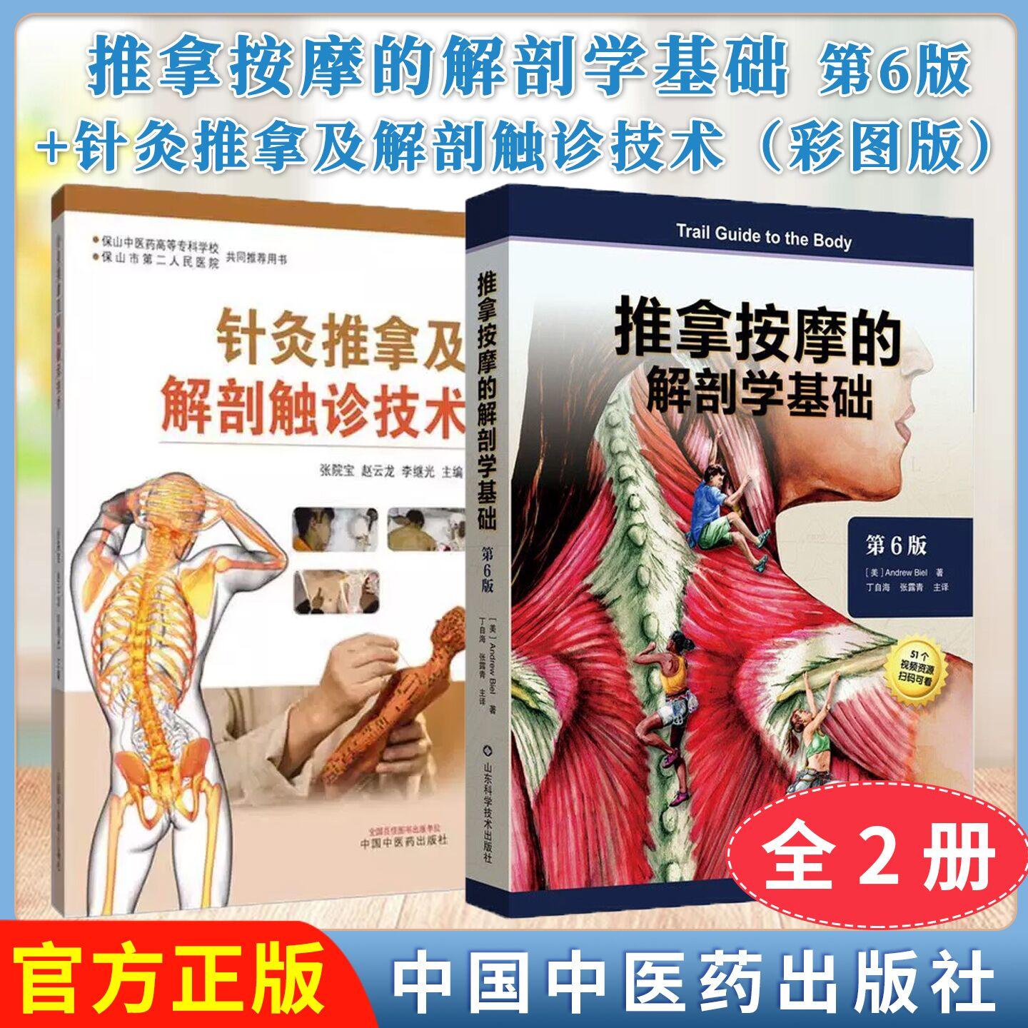 【全2册】针灸推拿及解剖触诊技术（彩图版）+推拿按摩的解剖学基础（第6版）[美]Andrew Biel 著 丁自海 译 山东科学技术出版社