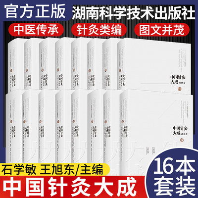 16本套 中国针灸大成经络卷通论卷骨度卷经典卷灸法卷临证卷通论卷综合卷石学敏、王旭东