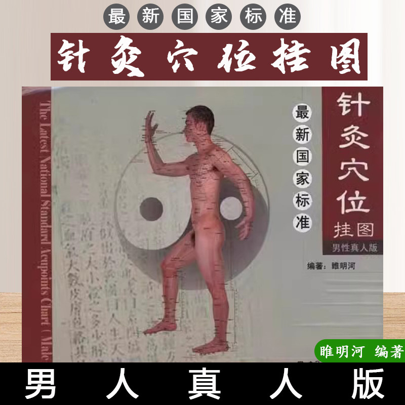 最新国家标准针灸穴位挂图 男性真人版 睢明河 中国中医药出版社 9787802318304
