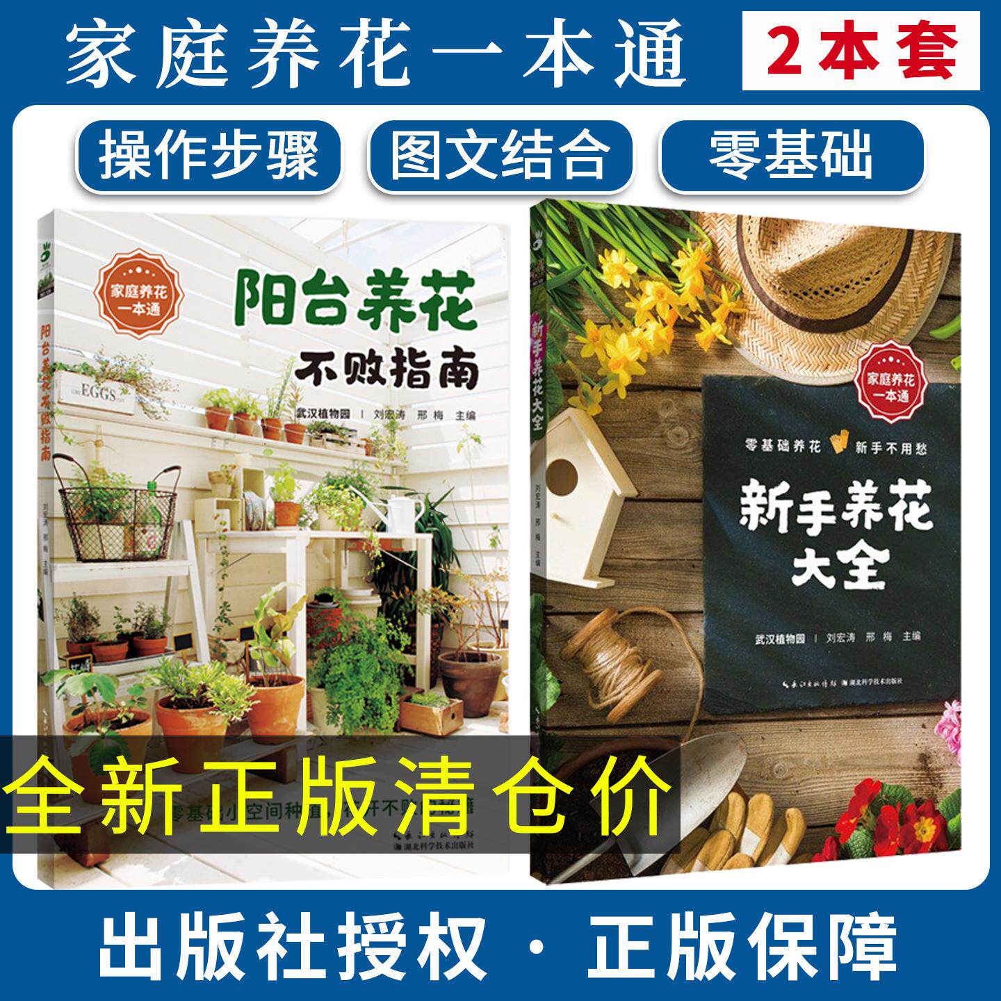 【家庭养花全2册】阳台养花不败指南+新手养花大全 家庭养花一本通湖北科学技术出版社 刘宏涛 著