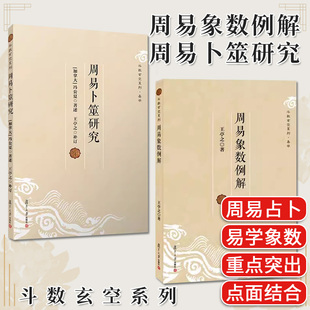 套装2本 周易象数例解+周易卜筮研究 周易占卜研究相关书籍 复旦大学出版社