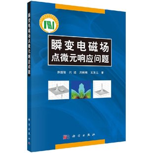 瞬变电磁场点微元 响应问题