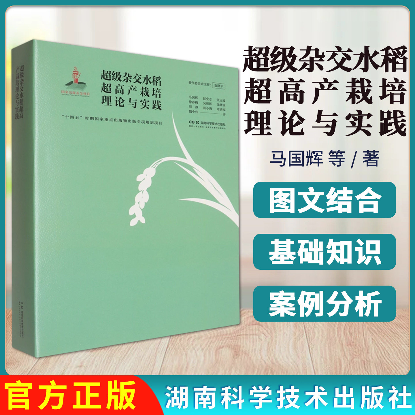 超级杂交水稻超高产栽培理论与实践 马国辉 超级杂交稻超高产群体特征抗倒伏理论与技术高产稻田微生物特征及其调控9787571032890