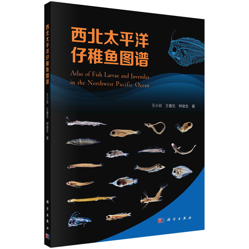 西北太平洋仔稚鱼图谱王小谷王春生钟俊生 289幅高清实物标本照片仔稚鱼种类鉴定特征海域分布及采样信息9787030730565