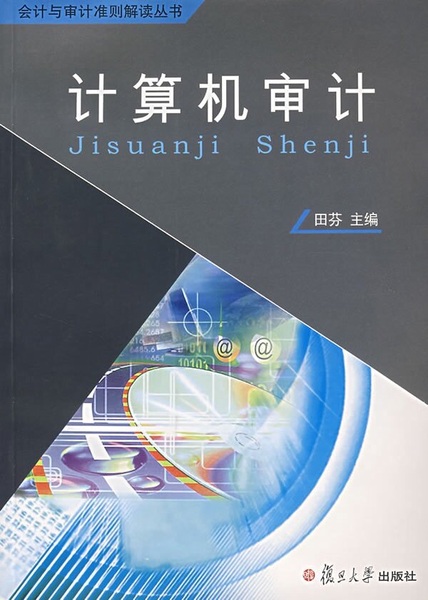 计算机审计（会计与审计准则解读丛书）  田芬 主编 复旦大学出版社  9787309056297