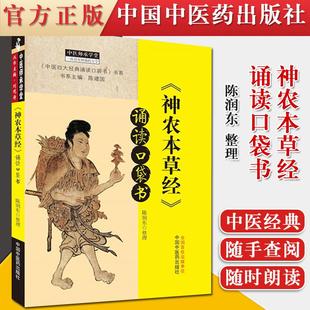 神农本草经诵读口袋书中医四大经典诵读口袋书书系中医师承学堂一所没有围墙的大学陈润东中国中医药出版社 9787513264952