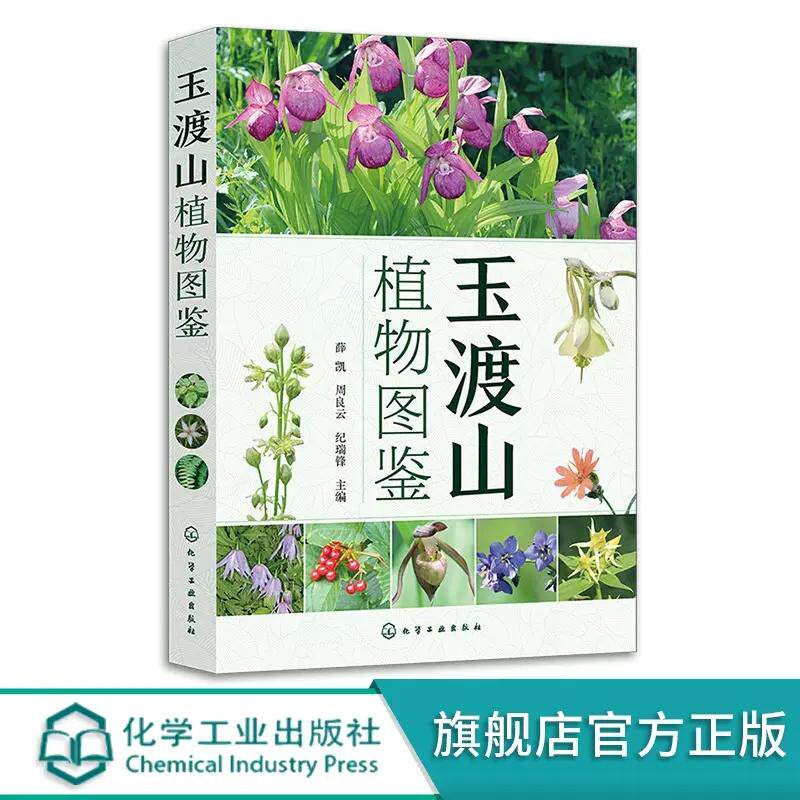玉渡山植物图鉴 500余种玉渡山植物高清图鉴 野花植物图鉴 玉渡山野生植物轻松查 玉渡山植物辨别图册 中国植物志 常见植物辨别