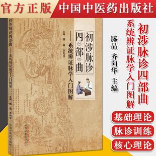 正版书籍 初涉脉诊四部曲 系统辨证脉学入门图解 中医书籍 适合广大脉学爱好者参考阅读 滕晶 齐向华主编 中国中医药出版社