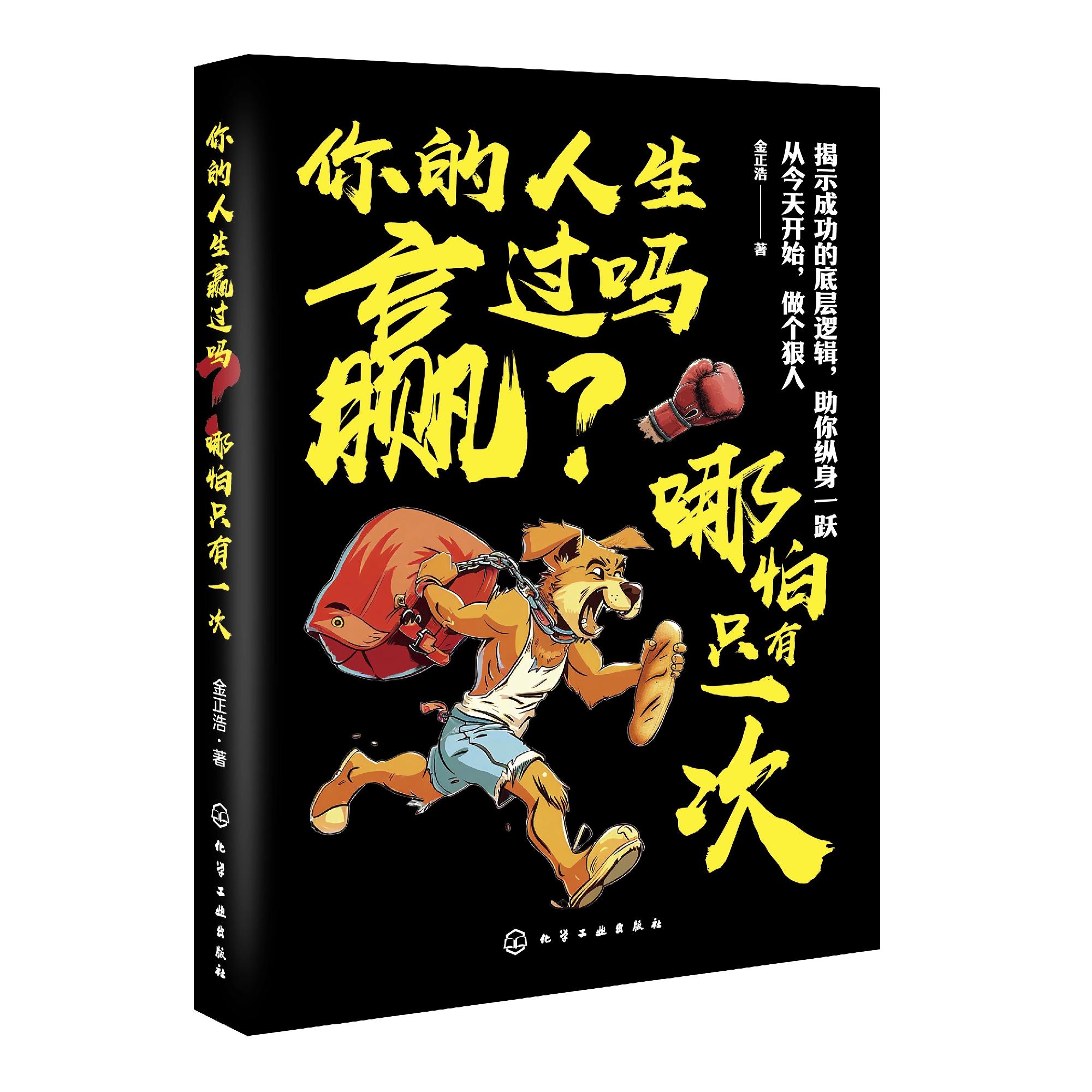 你的人生赢过吗 哪怕只有一次 献给不想躺平的你 观念的改变 认知觉醒 告别舒适 提高情商 扭转情绪 成人励志治愈自我提升参考书籍
