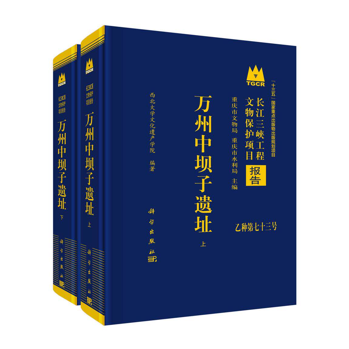 万州中坝子遗址（全二册）