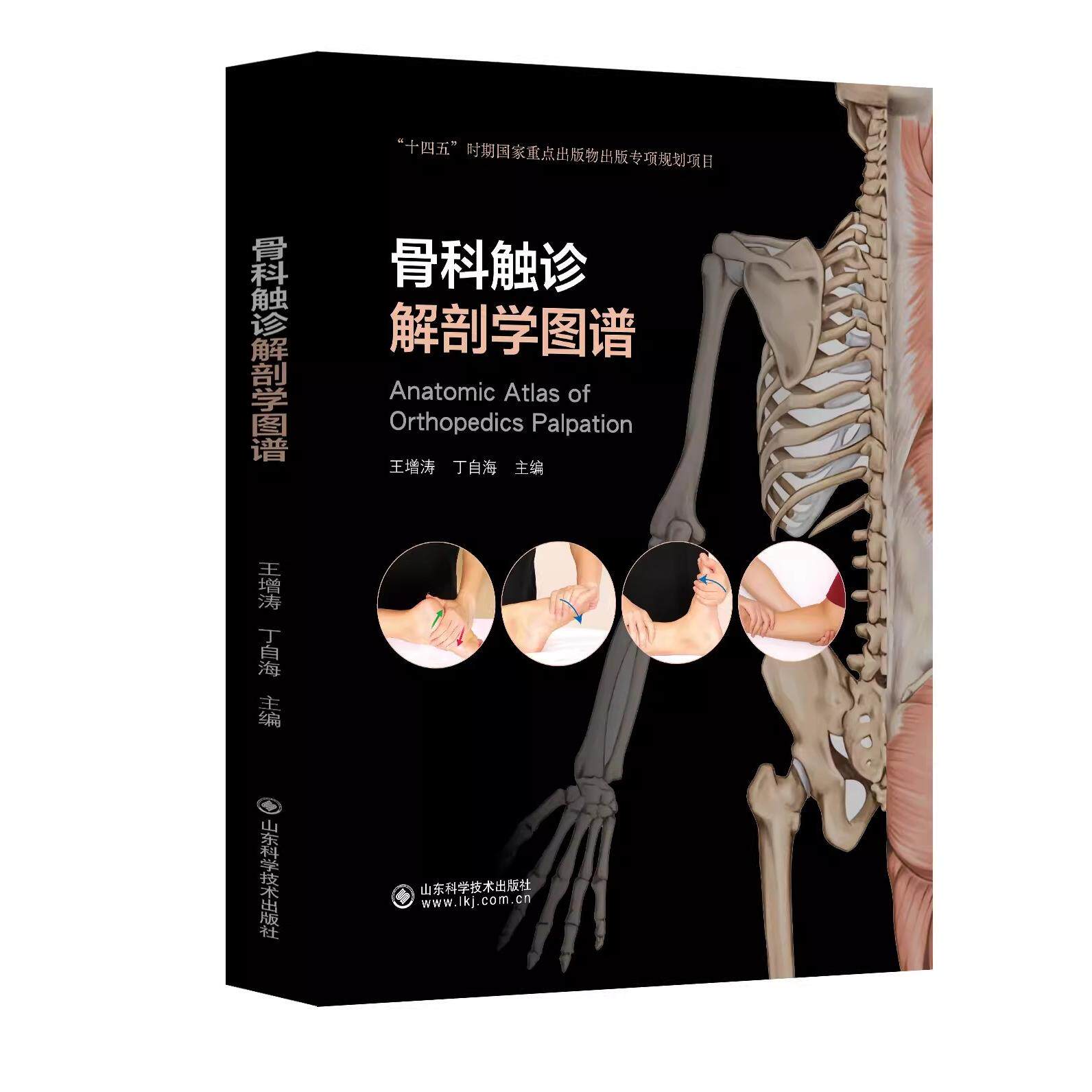 骨科触诊 解剖学图谱 王增涛 丁自海 主编 介绍了骨科触诊相关的临床解剖学知识和手法 山东科学技术出版社 9787572320200