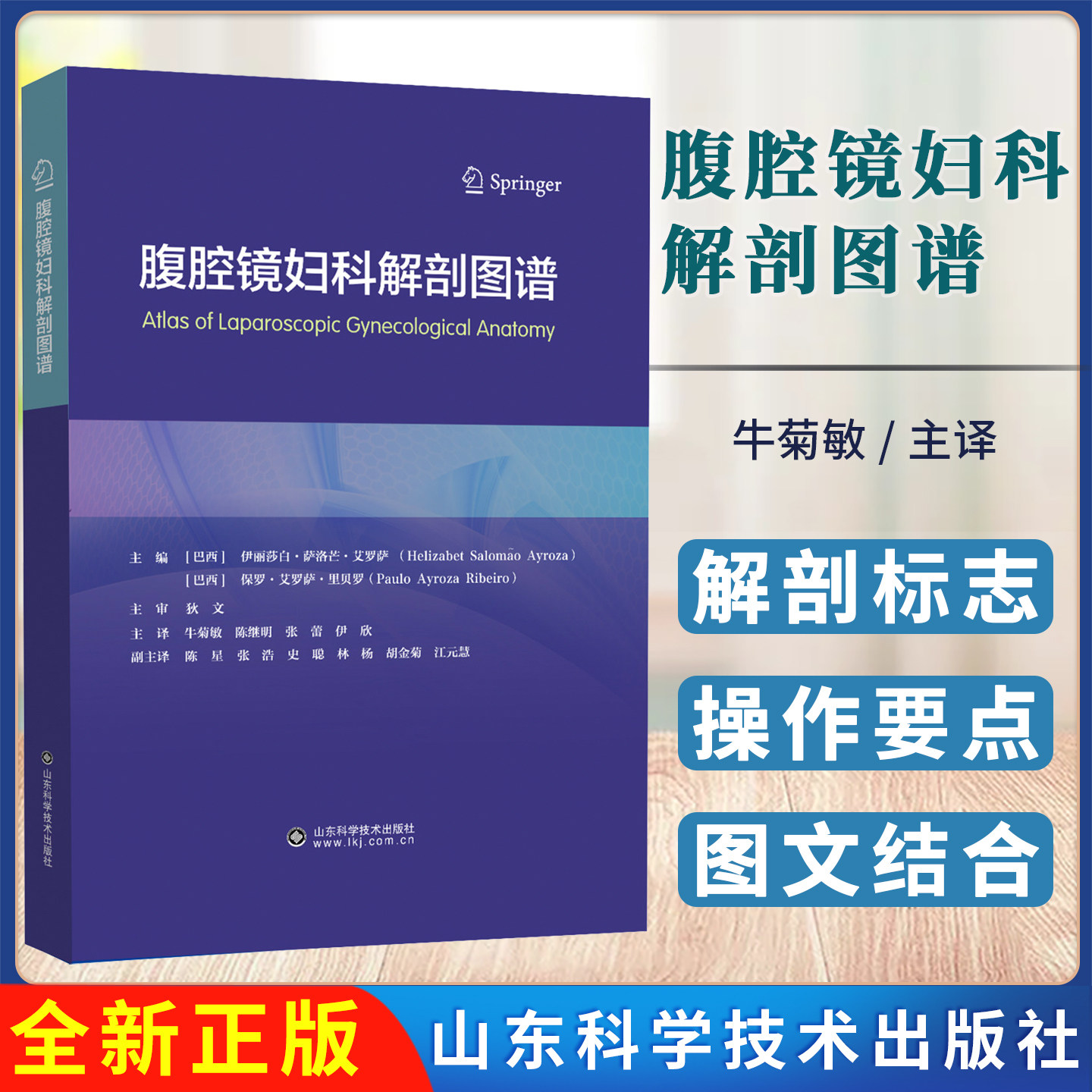腹腔镜妇科解剖图谱 腹腔镜手术中止血分离缝合技巧实操指导 妇科手术解剖学 临床妇科医师参考书籍 山东科学技术出版社