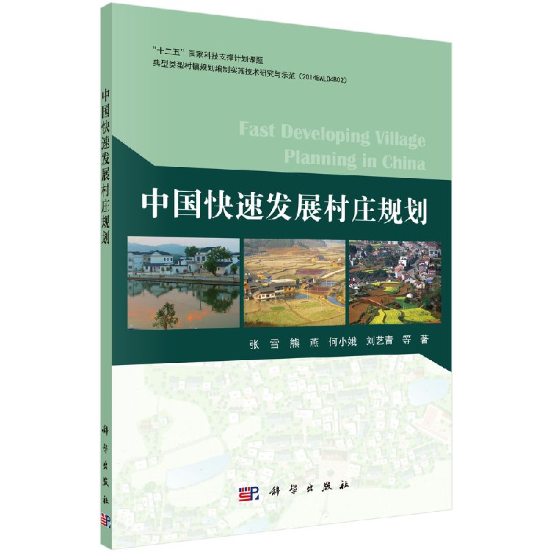 中国快速发展村规划