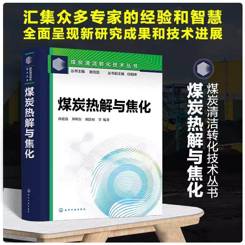 煤炭清洁转化技术丛书 煤炭热解与焦化 尚建选 郑明东 胡浩权 煤炭热解煤炭炼焦煤焦油加工9787122408198 化学工业出版社