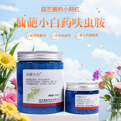 仙葩小白药杀虫剂月季