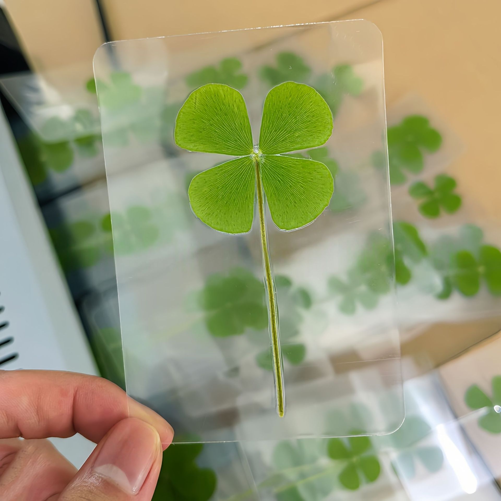 治愈四叶草透卡小清新饰品全新款礼物书签简约风百搭透明卡装饰