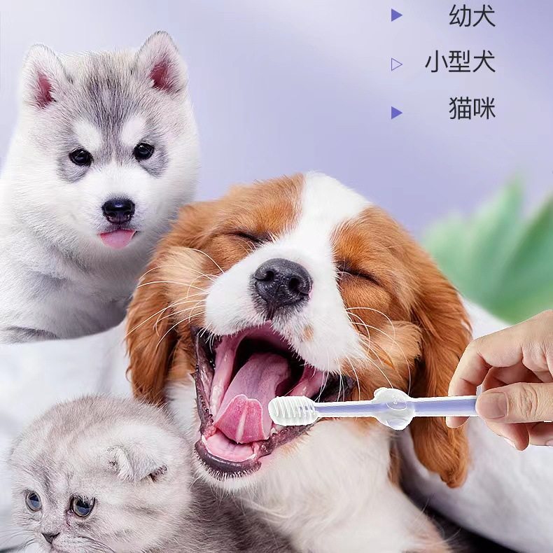清洁宠物牙膏猫咪除口臭多功能新款牙齿口腔套装小牙刷猫刷牙狗狗,饰品/流行首饰/时尚饰品新,其他DIY饰品配件,淘宝优惠券,粉丝福利购,淘宝优惠卷