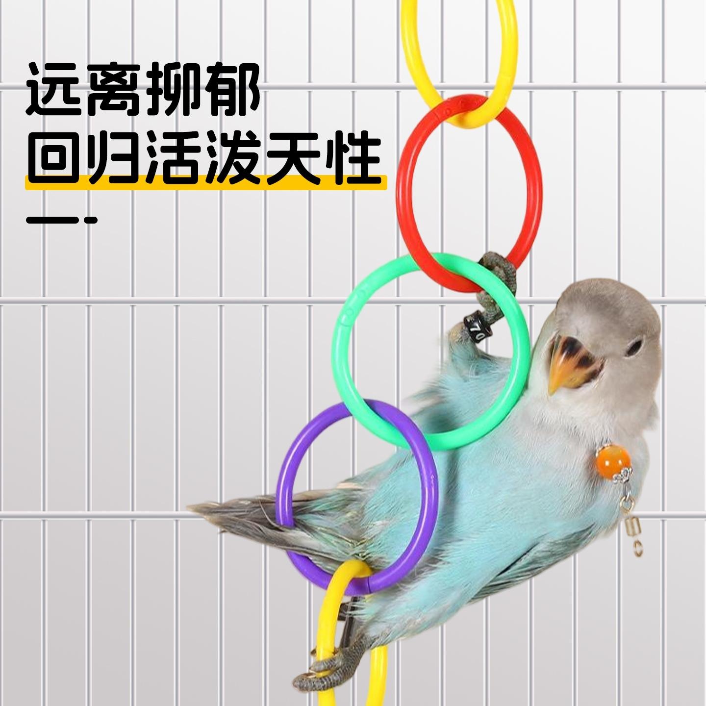 装饰啃咬牡丹小鸟专用铃铛解闷鸟用品趣味虎皮三色环鹦鹉玩具攀爬