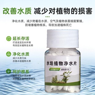 杀菌消毒去腥呵护根系不臭水水培植物净水剂净水片水培除臭